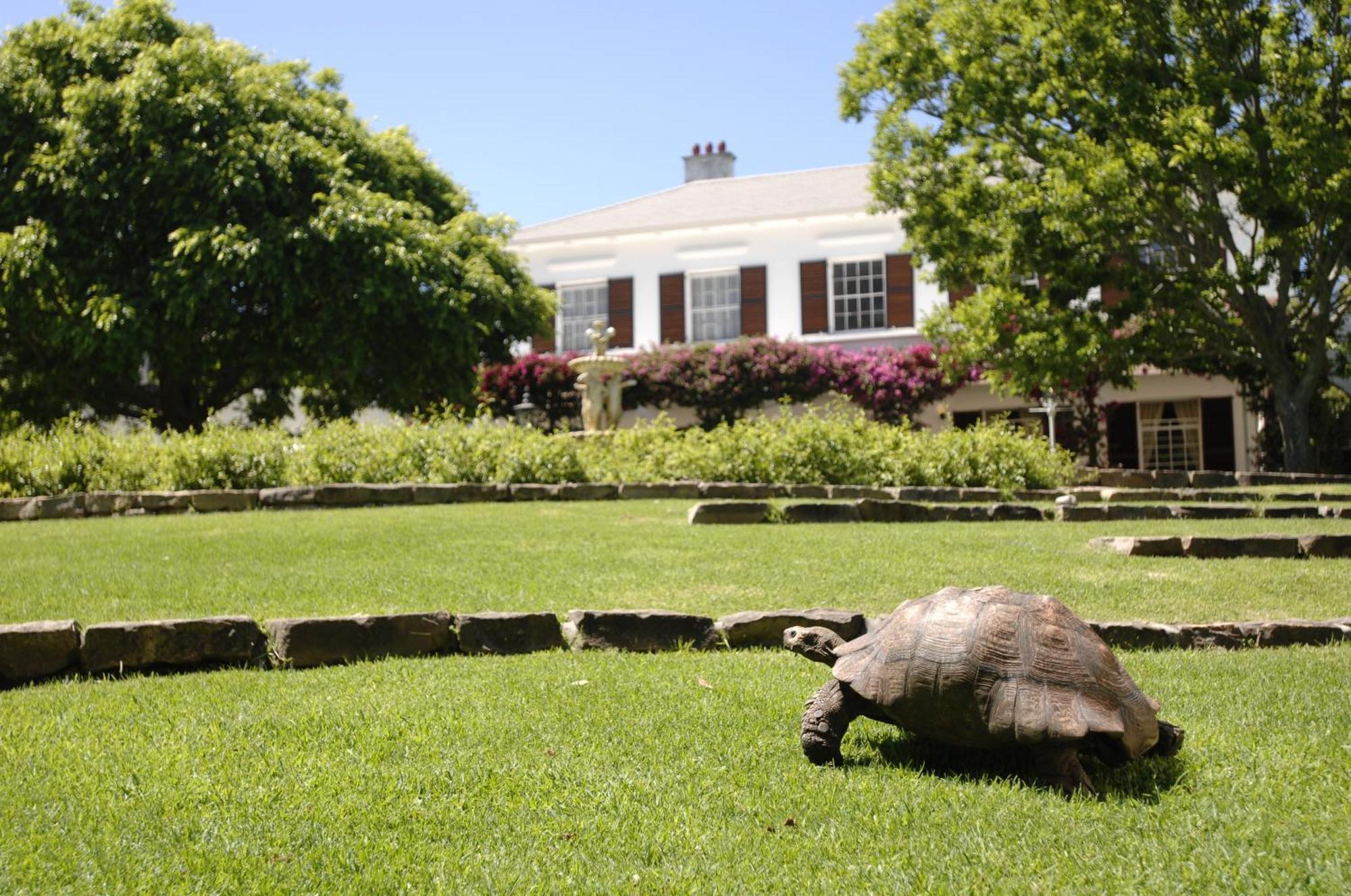 Vineyard Hotel Cape Town Bagian luar foto