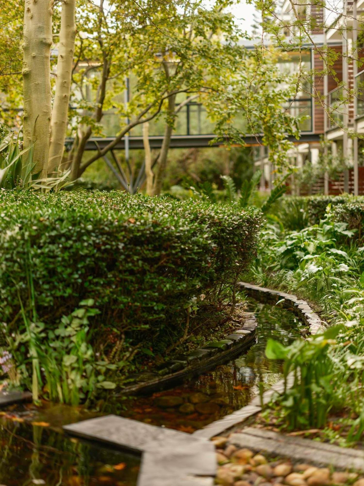 Vineyard Hotel Cape Town Bagian luar foto